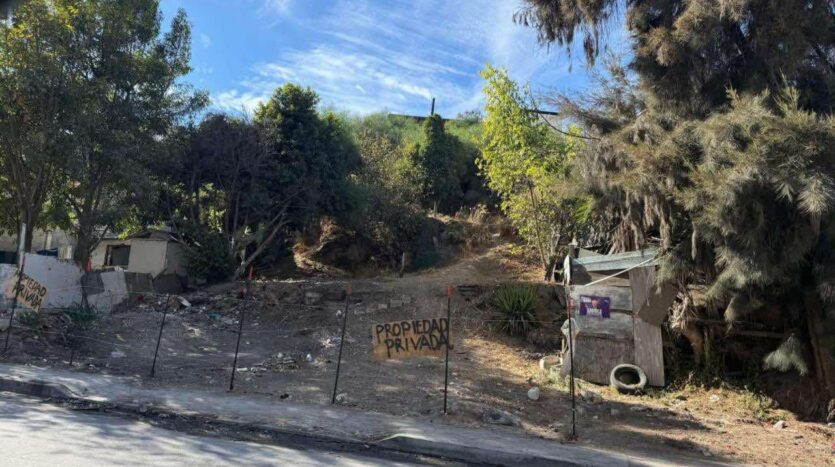 Terreno en Venta en AV. Xicoténcatl