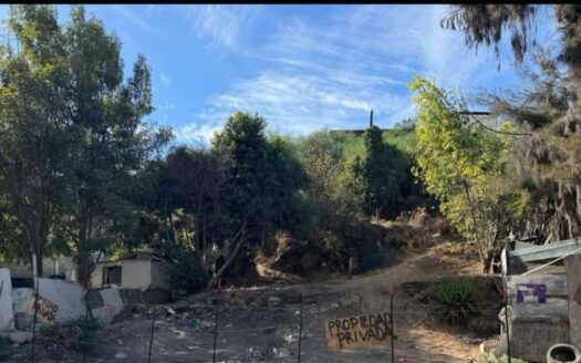 Terreno en Venta en AV. Xicoténcatl