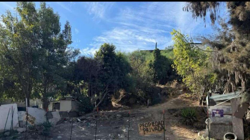 Terreno en Venta en AV. Xicoténcatl